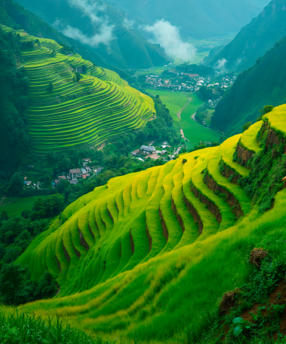 Assam Tour Package