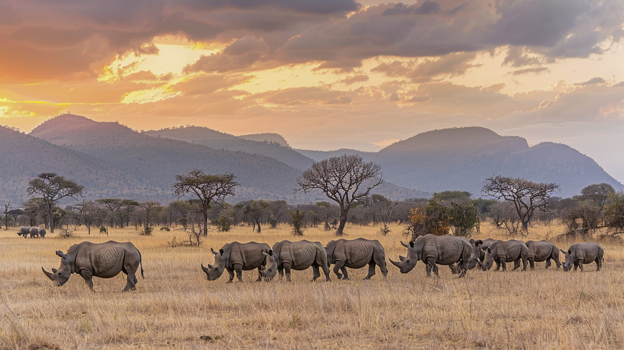 kenya Getaway